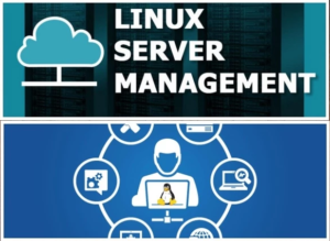 Linux Server Management Services