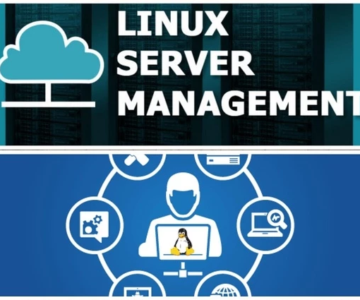 Linux Server Management Services