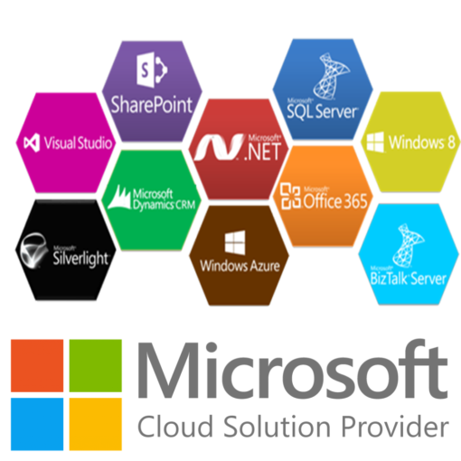 Microsoft Services in Karachi