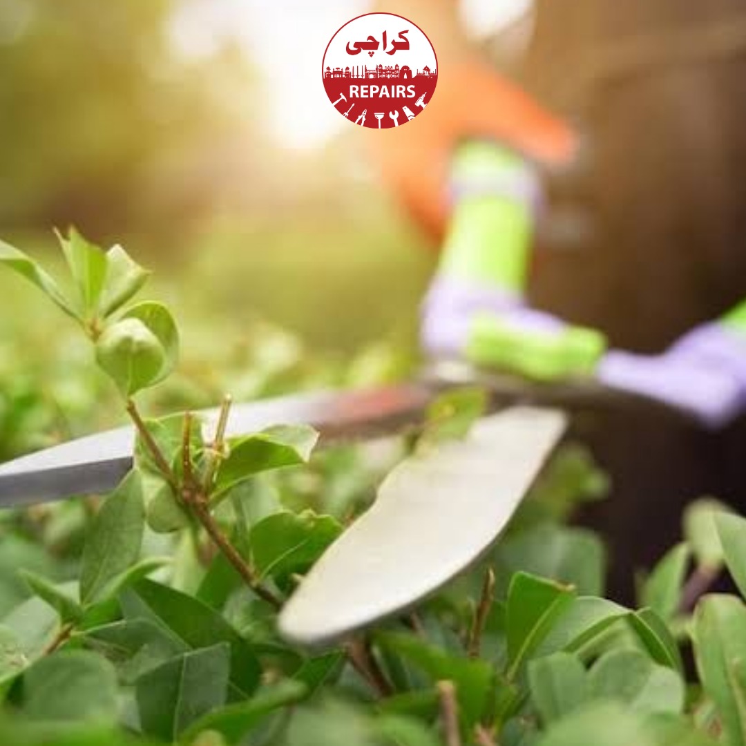Professional Garden Maintenance Service and Lawn Care in Karachi