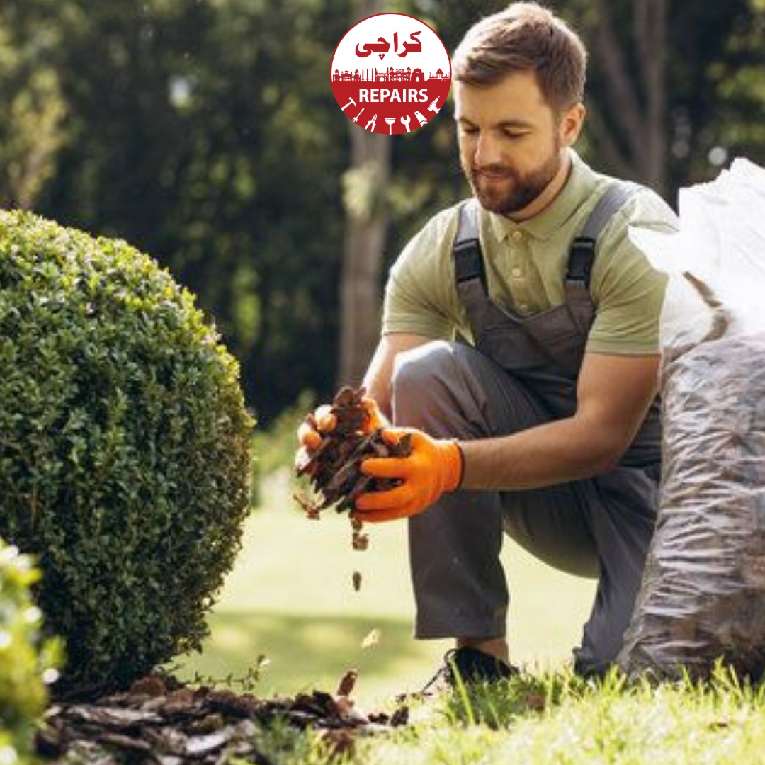 Professional gardener trimming hedges and maintaining a lawn in Karachi