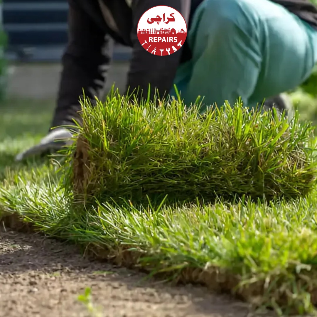 Commercial landscaping and lawn maintenance in Karachi