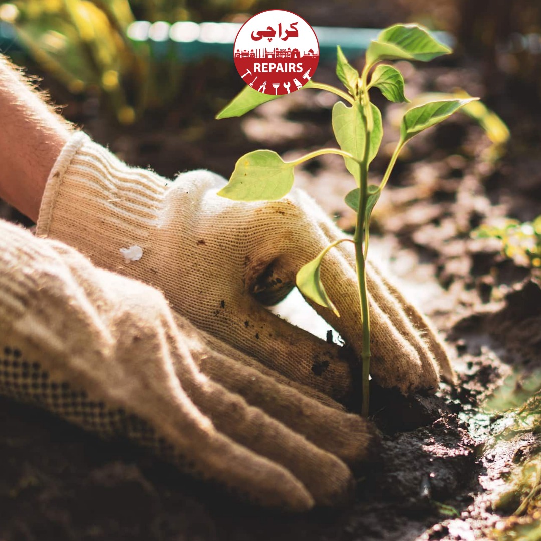 Professional gardening and landscaping services in Karachi by Karachi Repairs