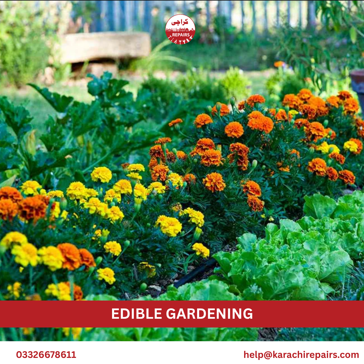 Edible Gardening Service in Karachi