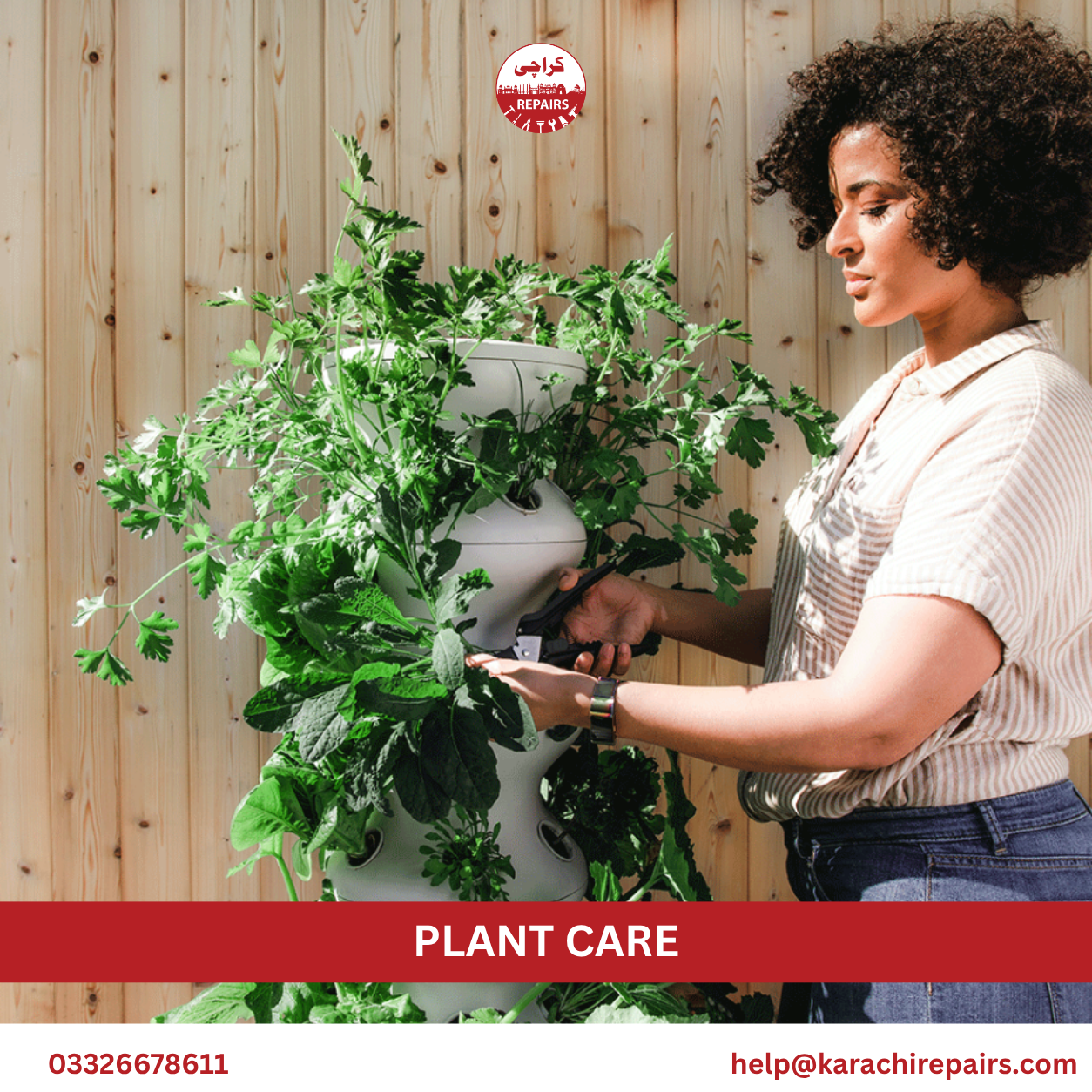 Plant Care Service in Karachi