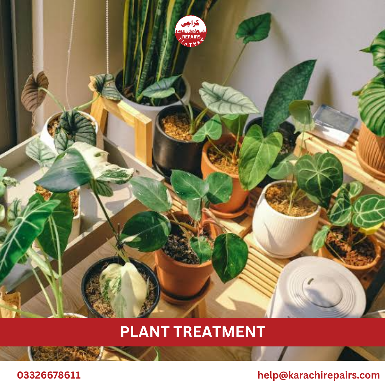 Plant Treatment Service in Karachi